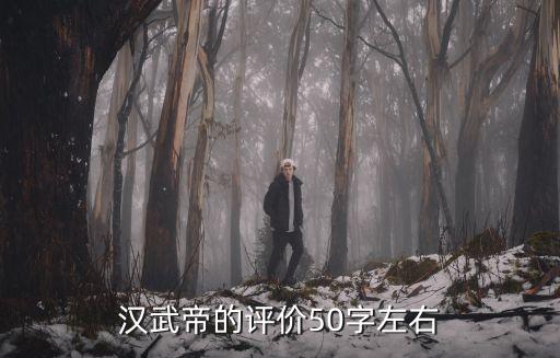 漢武帝評價，漢武帝的評價300字以內(nèi)