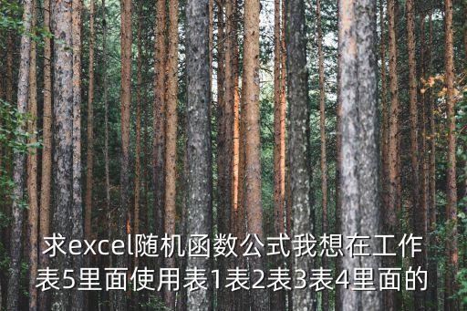 求excel隨機函數公式我想在工作表5里面使用表1表2表3表4里面的