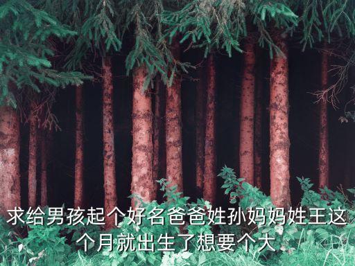 孫士彬，求給男孩起個好名爸爸姓孫媽媽姓王這個月就出生了想要個大