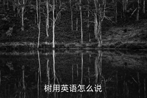 樹的英語單詞，樹的英文怎么寫
