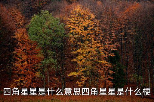 四個(gè)角的星星，4角星代表什么
