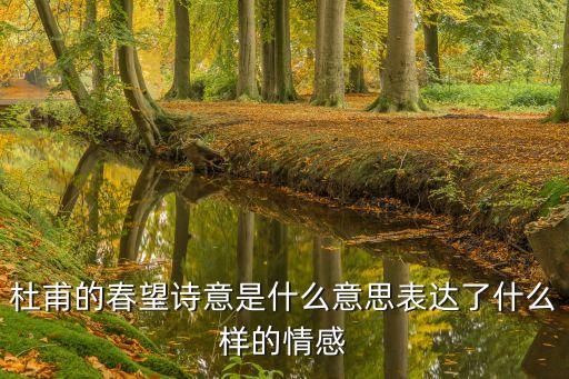 杜甫的春望詩意是什么意思表達了什么樣的情感