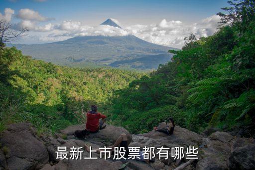 股票大全，中國所有上市公司名單及股票代碼急謝謝