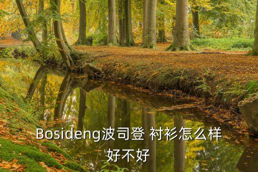 Bosideng波司登 襯衫怎么樣好不好