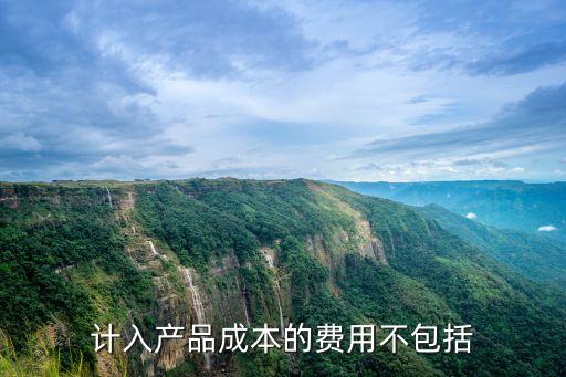 計入產品成本的費用不包括