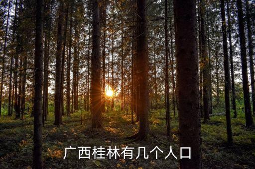 廣西桂林有幾個(gè)人口