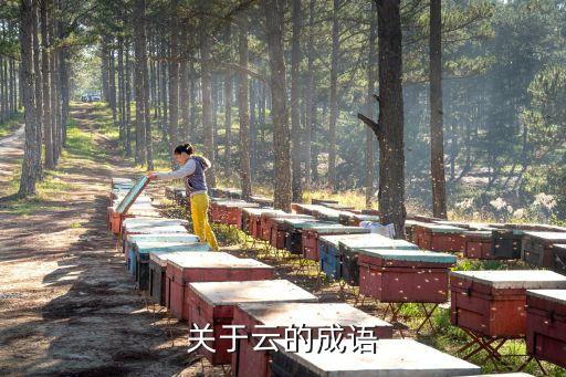 帶云字的成語(yǔ)，帶有云字的好的成語(yǔ)