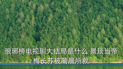 瑯琊榜電視劇大結局是什么 景琰當帝梅長蘇被藺晨所救