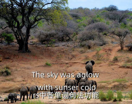 The sky was aglow with sunser colors中各單詞句法功能