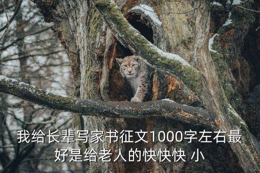 家書征文，親情家書作文