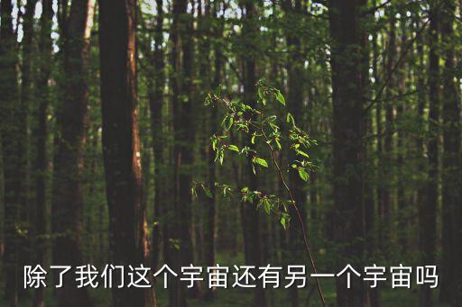 另一個(gè)宇宙，宇宙外存不存在另外一個(gè)宇宙