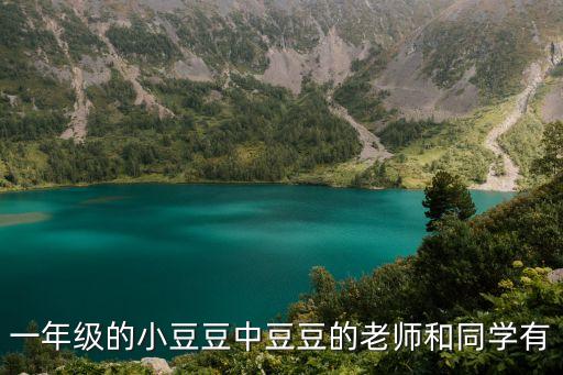 一年級的小豆豆中豆豆的老師和同學有