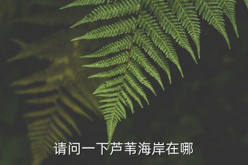 請問一下蘆葦海岸在哪