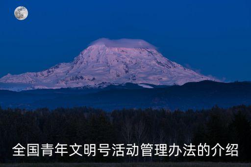 青年號，全國青年文明號活動管理辦法的介紹