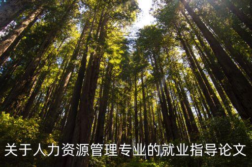 就業指導論文，關于人力資源管理專業的就業指導論文
