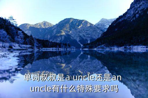 單詞叔叔是a uncle還是an uncle有什么特殊要求嗎