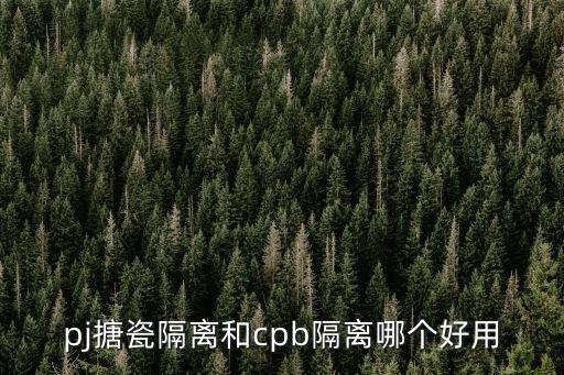 搪瓷隔離，碧歐泉隔離 和 搪瓷隔離 那個好用