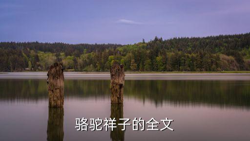 駱駝祥子全文，求駱駝祥子的原文