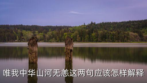 唯我中華山河無恙這兩句應該怎樣解釋