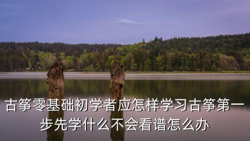 古箏零基礎初學者應怎樣學習古箏第一步先學什么不會看譜怎么辦