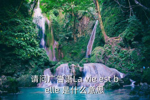 蘭蔻廣告語，急求蘭蔻小黑瓶英文廣告詞