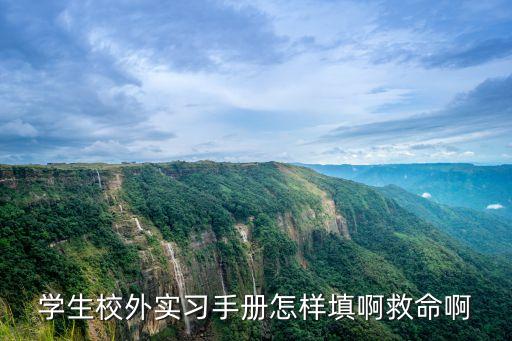實習手冊怎么寫，畢業實習手冊怎么填啊
