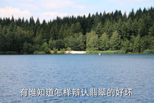 翡翠怎樣辨別好壞，怎么鑒別翡翠的好壞