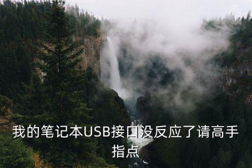 筆記本usb接口沒反應，我的筆記本USB接口沒反應了請高手指點
