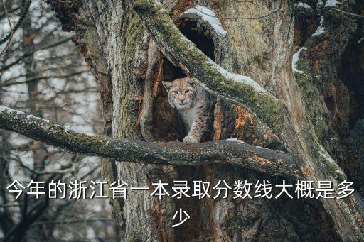 浙江高考一本線，今年高考分數線 浙江