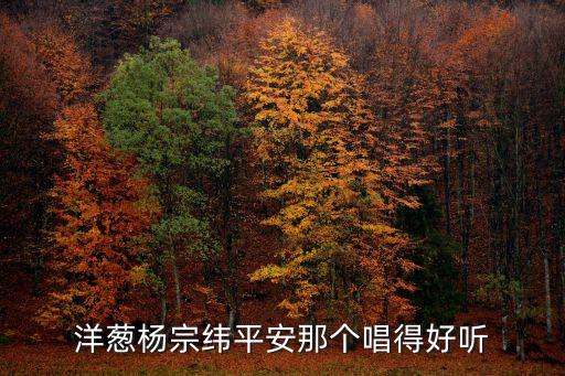 洋蔥平安，洋蔥平安第幾期唱的