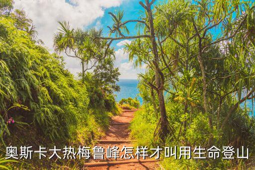 梅魯峰，如何評價紀(jì)錄片攀登梅魯峰