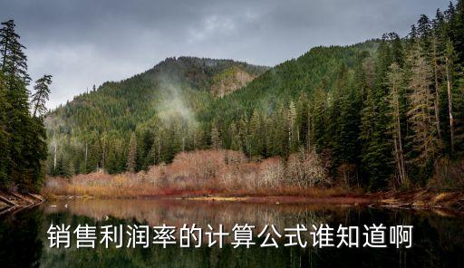 銷售利潤率的計算公式誰知道啊