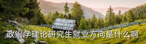政治學(xué)理論研究生就業(yè)方向是什么啊