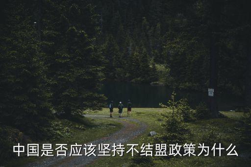 不結盟政策，不結盟是什么意思