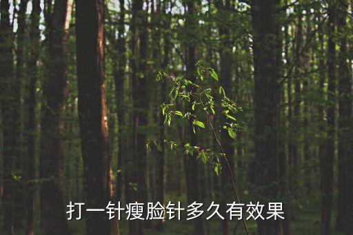 打一針瘦臉針多久有效果