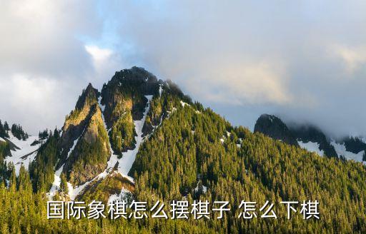 國際象棋入門，國際象棋的入門玩法