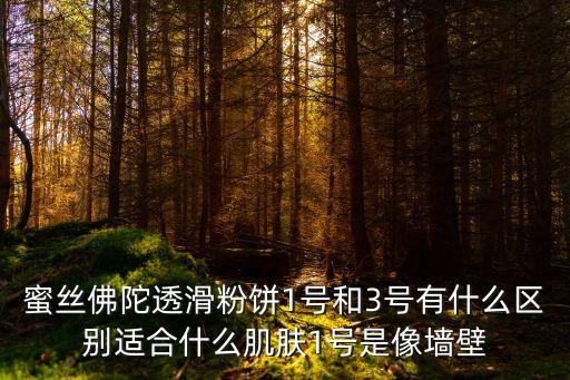 蜜絲佛陀透滑粉餅1號(hào)和3號(hào)有什么區(qū)別適合什么肌膚1號(hào)是像墻壁