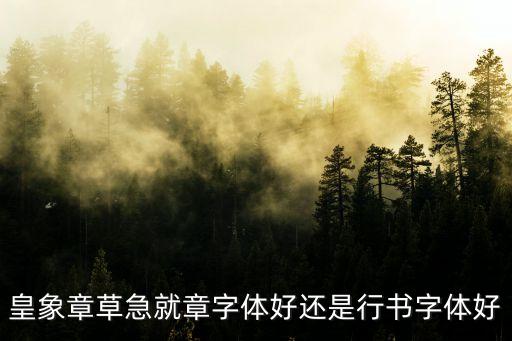 皇象，皇象床墊有正反面嗎是不是只能睡粽墊那一面