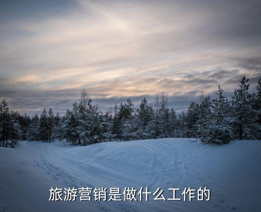 旅游營銷，旅游營銷是做什么工作的