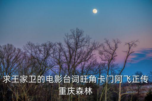 求王家衛(wèi)的電影臺詞旺角卡門阿飛正傳重慶森林