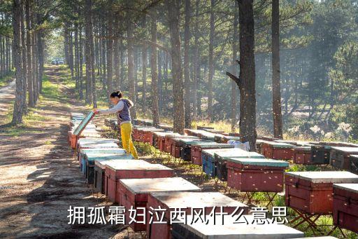 擁孤霜婦泣西風什么意思