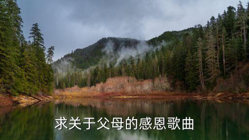 感恩父母的歌，感恩父母的歌曲 比較流行 順口的 班會用