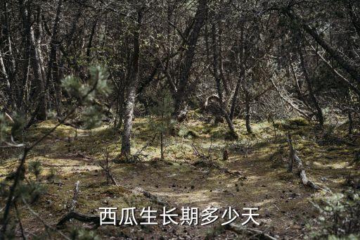 西瓜生長期多少天，西瓜的生長周期是多長時間