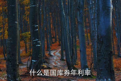 國庫券利率，什么是國庫券年利率