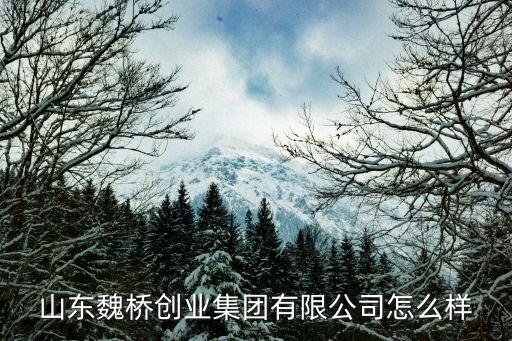 魏橋創業，山東魏橋創業集團有限公司怎么樣知道的說的具體一點還有該公司