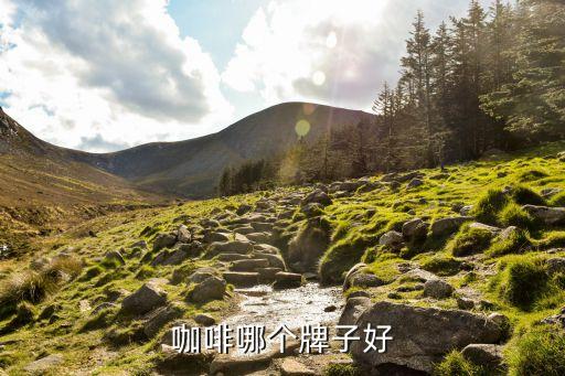 咖啡有哪些品牌，咖啡哪個牌子好