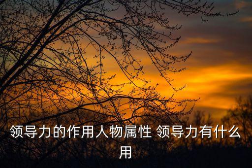 領導力的重要性，領導力發展對一家企業發展來講很重要嗎