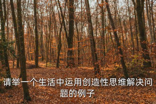 請舉一個生活中運用創(chuàng)造性思維解決問題的例子