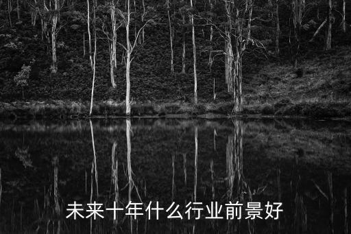 未來十年什么行業前景好