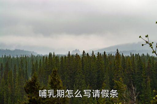 哺乳假申請，上班后每天有一小時的喂奶時間的申請書怎樣寫啊